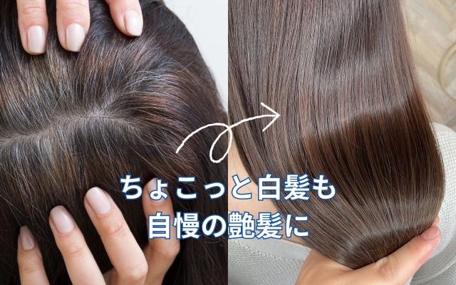 白髪染めbeforeAfter